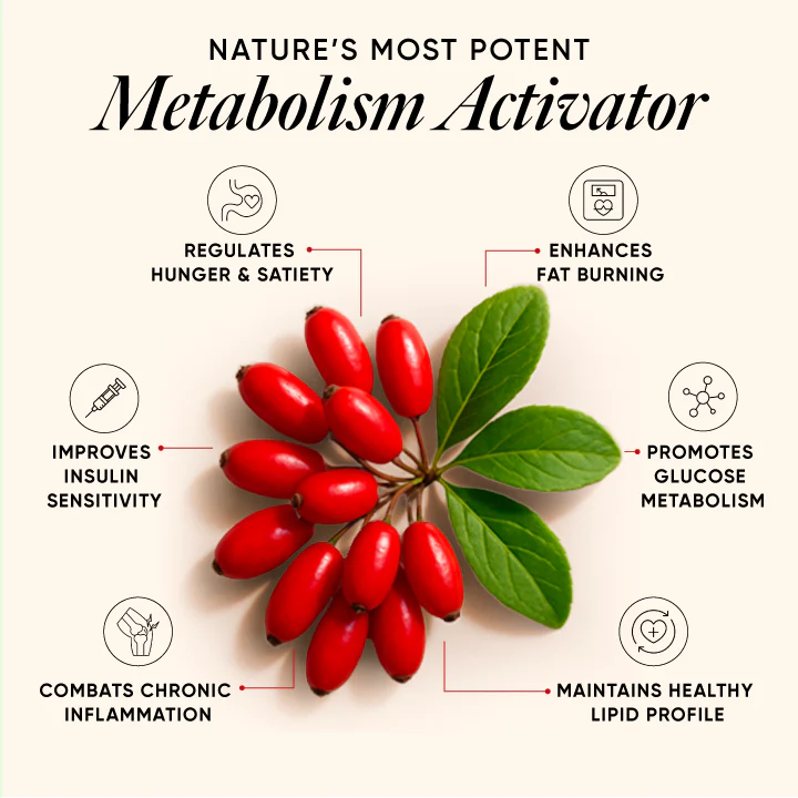 A graphic showing a small red fruit and green leaves with caption text elaborating the benefits of berberine
